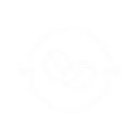 koffee web serviceslogo